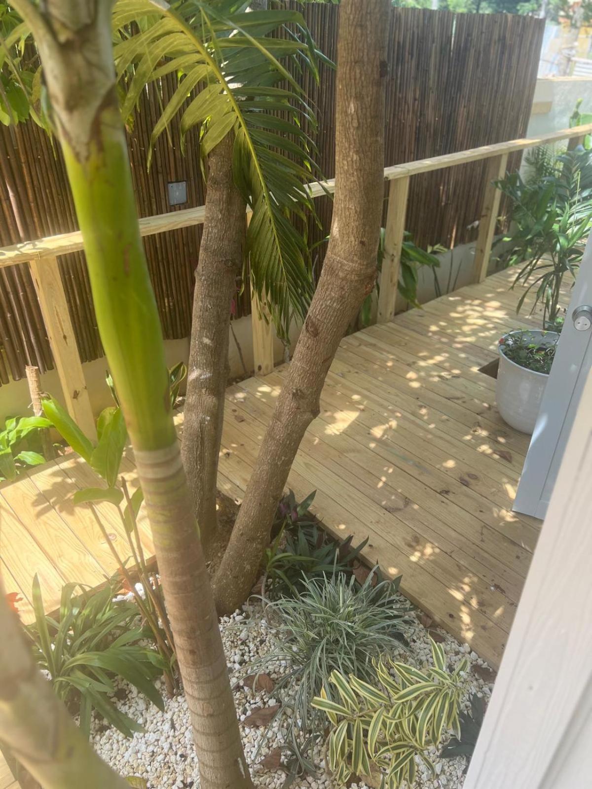 Bella Noni B&B Aguadilla Εξωτερικό φωτογραφία