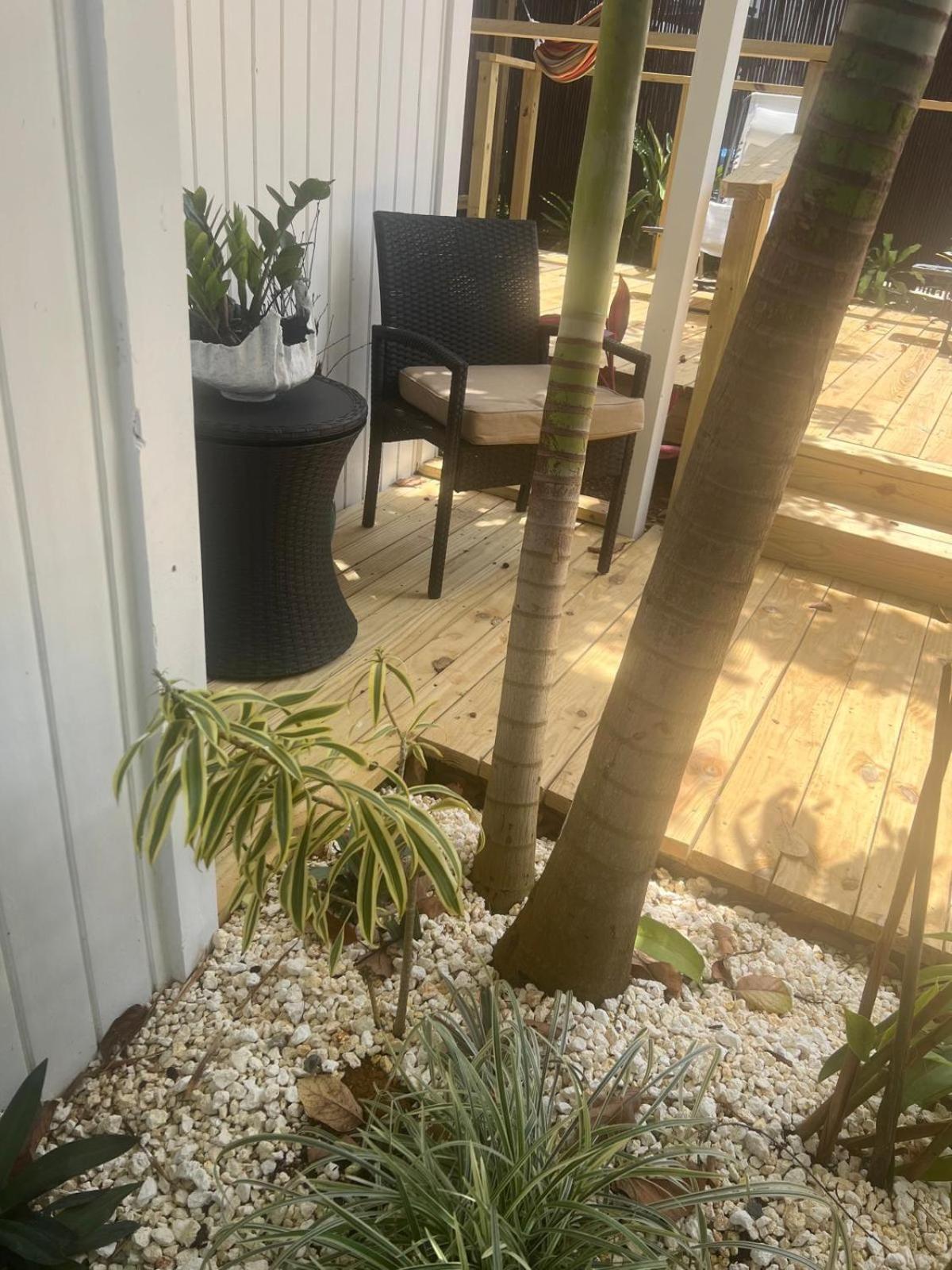 Bella Noni B&B Aguadilla Εξωτερικό φωτογραφία